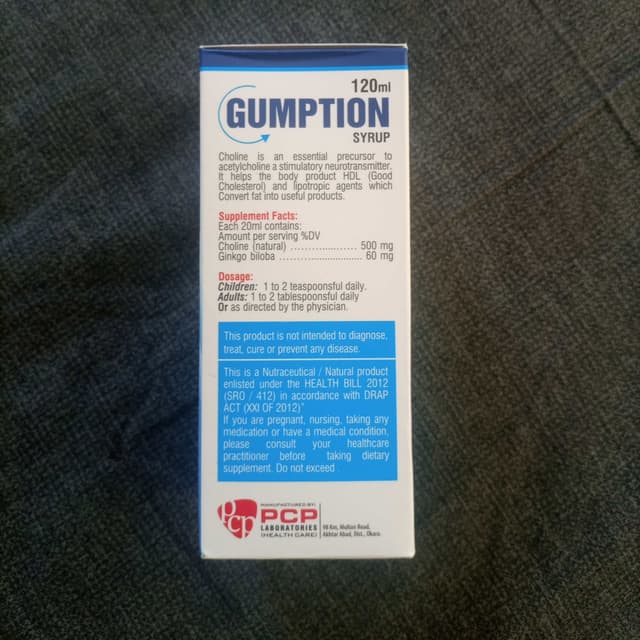 SYP GUMPTION. NEURO CHOLINE 500 MG + GINKOBILOBA 60 MG