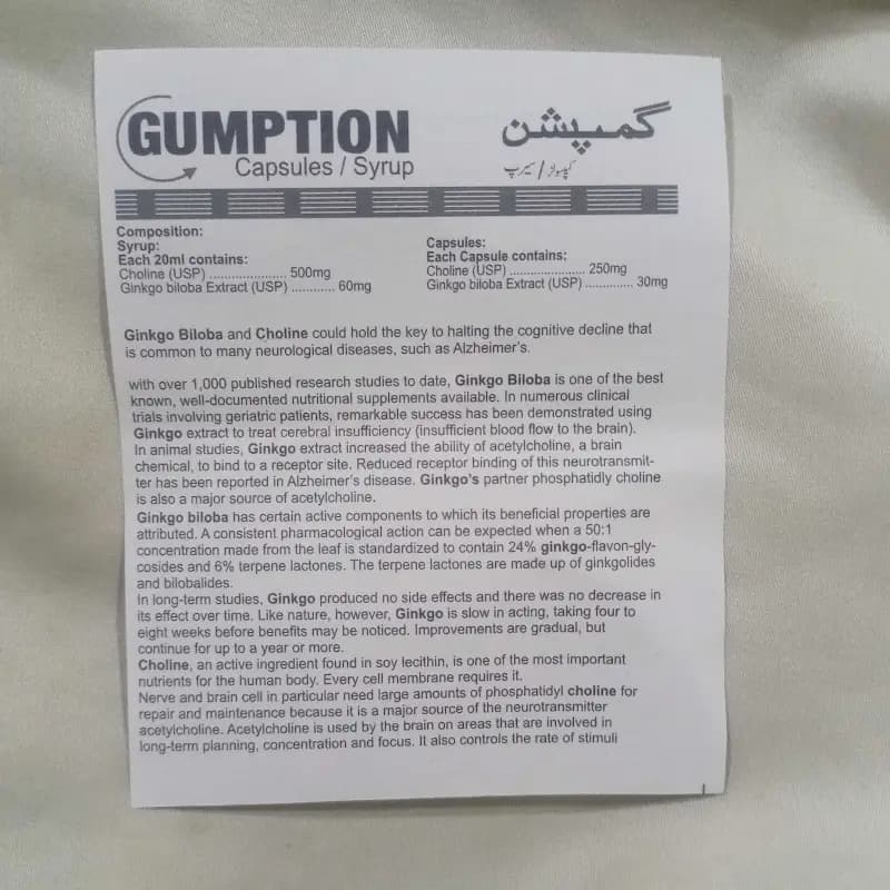 SYP GUMPTION. NEURO CHOLINE 500 MG + GINKOBILOBA 60 MG