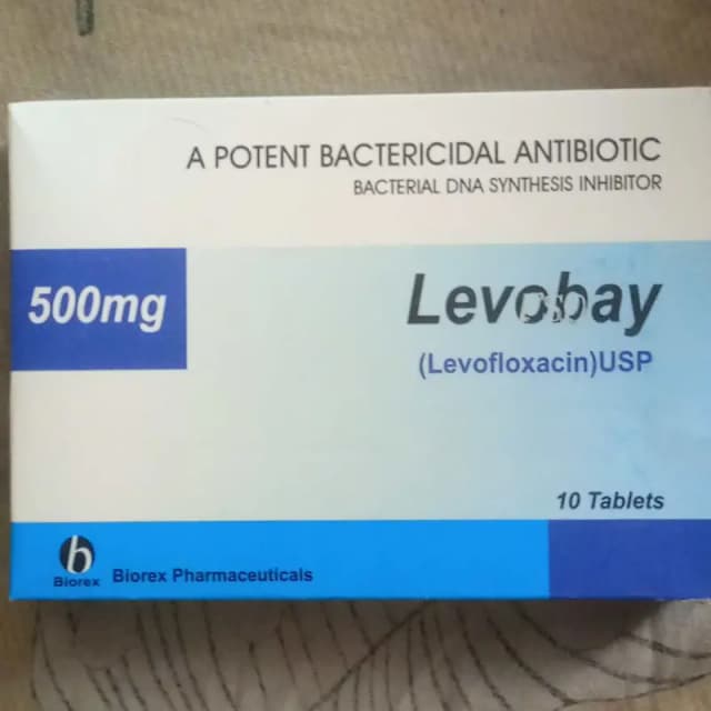 TAB LEVOBAY  500 MG ONE TAB